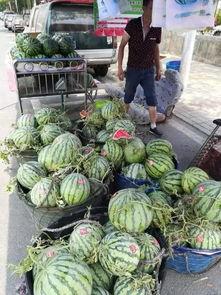 邳州网红吃瓜事件,一场网络狂欢背后的真相与反思