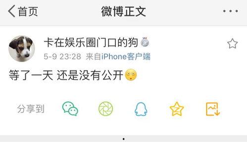 网红吃瓜呱呱爆料,娱乐圈幕后真相大揭秘