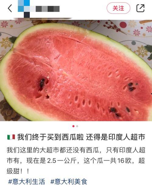 国外有吃瓜网吗,揭秘国外吃瓜网站的风采