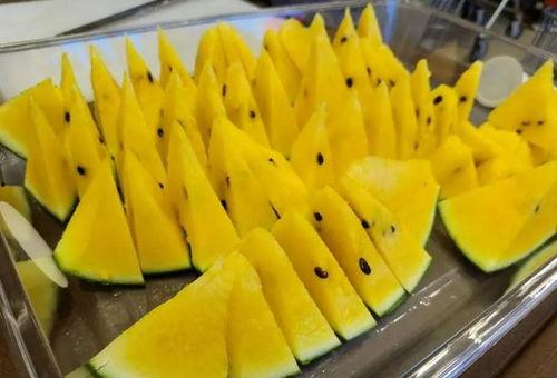 网红上海败家仔吃瓜,一场奢华与争议的碰撞