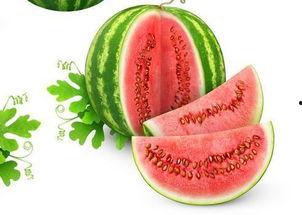 小希吃网瓜,小希的网瓜美食之旅