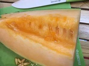 柳州吃瓜事件网,一场网络狂欢背后的真相与反思