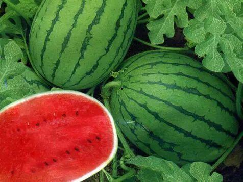 吃瓜网今日吃瓜 热门,揭秘娱乐圈最新热点事件