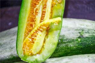 可以吃所有网红的瓜,揭秘全网热门事件背后的真相