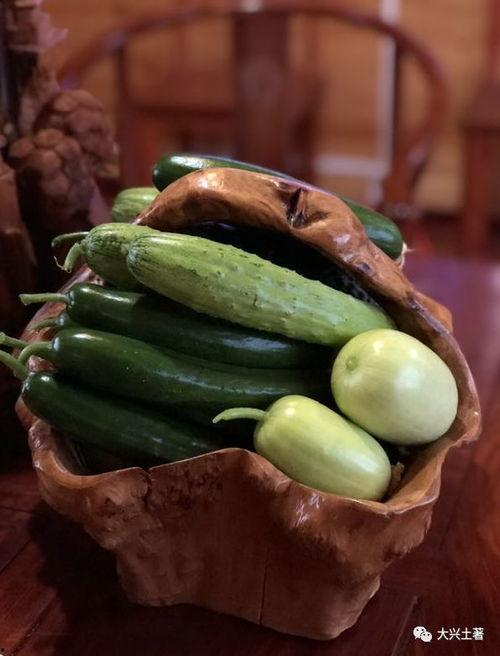 可以吃所有网红的瓜,揭秘全网热门事件背后的真相